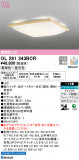ODELIC ǥå 󥰥饤 OL291343BCRþʾLEDη¡ʰΡѤ䡡Ҹ -LIGHTING DEPOT-
