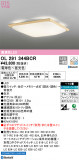 ODELIC ǥå 󥰥饤 OL291344BCRþʾLEDη¡ʰΡѤ䡡Ҹ -LIGHTING DEPOT-