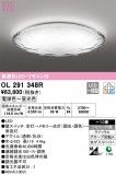 ODELIC ǥå 󥰥饤 OL291348RþʾLEDη¡ʰΡѤ䡡Ҹ -LIGHTING DEPOT-