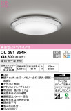 ODELIC ǥå 󥰥饤 OL291354RþʾLEDη¡ʰΡѤ䡡Ҹ -LIGHTING DEPOT-