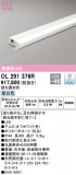 ODELIC ǥå Ѵܾ OL291376RþʾLEDη¡ʰΡѤ䡡Ҹ -LIGHTING DEPOT-