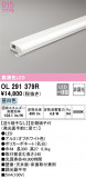 ODELIC ǥå Ѵܾ OL291379RþʾLEDη¡ʰΡѤ䡡Ҹ -LIGHTING DEPOT-