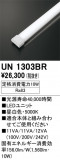 ODELIC ǥå ¾ UN1303BRþʾLEDη¡ʰΡѤ䡡Ҹ -LIGHTING DEPOT-