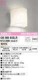 ODELIC ǥå ֥饱å OB080933LRþʾLEDη¡ʰΡѤ䡡Ҹ -LIGHTING DEPOT-