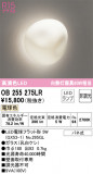 ODELIC ǥå ֥饱å OB255275LRþʾLEDη¡ʰΡѤ䡡Ҹ -LIGHTING DEPOT-