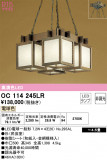 ODELIC ǥå ڥȥ饤 OC114245LRþʾLEDη¡ʰΡѤ䡡Ҹ -LIGHTING DEPOT-