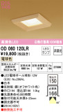 ODELIC ǥå 饤 OD060120LRþʾLEDη¡ʰΡѤ䡡Ҹ -LIGHTING DEPOT-