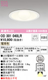 ODELIC ǥå 饤 OD301040LRþʾLEDη¡ʰΡѤ䡡Ҹ -LIGHTING DEPOT-
