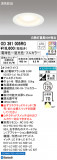 ODELIC ǥå 饤 OD361005RGþʾLEDη¡ʰΡѤ䡡Ҹ -LIGHTING DEPOT-