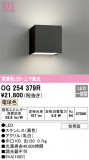 ODELIC ǥå ƥꥢ饤 OG254379RþʾLEDη¡ʰΡѤ䡡Ҹ -LIGHTING DEPOT-
