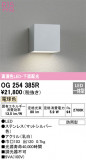ODELIC ǥå ƥꥢ饤 OG254385RþʾLEDη¡ʰΡѤ䡡Ҹ -LIGHTING DEPOT-