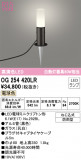 ODELIC ǥå ƥꥢ饤 OG254420LRþʾLEDη¡ʰΡѤ䡡Ҹ -LIGHTING DEPOT-