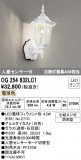 ODELIC ǥå ƥꥢ饤 OG254632LC1þʾLEDη¡ʰΡѤ䡡Ҹ -LIGHTING DEPOT-