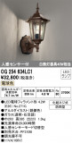 ODELIC ǥå ƥꥢ饤 OG254634LC1þʾLEDη¡ʰΡѤ䡡Ҹ -LIGHTING DEPOT-