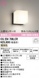 ODELIC ǥå ƥꥢ饤 OG254799LCRþʾLEDη¡ʰΡѤ䡡Ҹ -LIGHTING DEPOT-