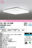 ODELIC ǥå 󥰥饤 OL251411NRþʾLEDη¡ʰΡѤ䡡Ҹ -LIGHTING DEPOT-