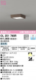 ODELIC ǥå 󥰥饤 OL251790RþʾLEDη¡ʰΡѤ䡡Ҹ -LIGHTING DEPOT-