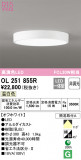 ODELIC ǥå 󥰥饤 OL251855RþʾLEDη¡ʰΡѤ䡡Ҹ -LIGHTING DEPOT-