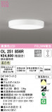 ODELIC ǥå 󥰥饤 OL251856RþʾLEDη¡ʰΡѤ䡡Ҹ -LIGHTING DEPOT-
