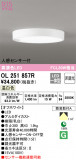 ODELIC ǥå 󥰥饤 OL251857RþʾLEDη¡ʰΡѤ䡡Ҹ -LIGHTING DEPOT-