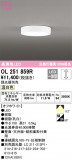 ODELIC ǥå 󥰥饤 OL251859RþʾLEDη¡ʰΡѤ䡡Ҹ -LIGHTING DEPOT-