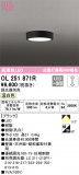 ODELIC ǥå 󥰥饤 OL251871RþʾLEDη¡ʰΡѤ䡡Ҹ -LIGHTING DEPOT-