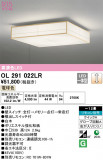 ODELIC ǥå 󥰥饤 OL291022LRþʾLEDη¡ʰΡѤ䡡Ҹ -LIGHTING DEPOT-