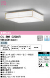 ODELIC ǥå 󥰥饤 OL291023NRþʾLEDη¡ʰΡѤ䡡Ҹ -LIGHTING DEPOT-
