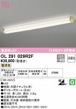 ODELIC ǥå å饤 OL291029R2FþʾLEDη¡ʰΡѤ䡡Ҹ -LIGHTING DEPOT-