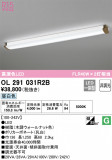 ODELIC ǥå å饤 OL291031R2BþʾLEDη¡ʰΡѤ䡡Ҹ -LIGHTING DEPOT-