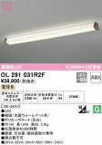 ODELIC ǥå å饤 OL291031R2FþʾLEDη¡ʰΡѤ䡡Ҹ -LIGHTING DEPOT-