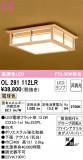 ODELIC ǥå 󥰥饤 OL291112LRþʾLEDη¡ʰΡѤ䡡Ҹ -LIGHTING DEPOT-