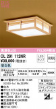 ODELIC ǥå 󥰥饤 OL291112NRþʾLEDη¡ʰΡѤ䡡Ҹ -LIGHTING DEPOT-
