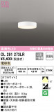 ODELIC ǥå 󥰥饤 OL291273LRþʾLEDη¡ʰΡѤ䡡Ҹ -LIGHTING DEPOT-