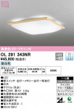 ODELIC ǥå 󥰥饤 OL291343NRþʾLEDη¡ʰΡѤ䡡Ҹ -LIGHTING DEPOT-