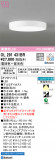 ODELIC ǥå 󥰥饤 OL291431BRþʾLEDη¡ʰΡѤ䡡Ҹ -LIGHTING DEPOT-
