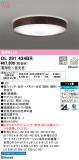 ODELIC ǥå 󥰥饤 OL291434BRþʾLEDη¡ʰΡѤ䡡Ҹ -LIGHTING DEPOT-