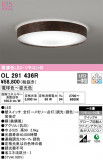 ODELIC ǥå 󥰥饤 OL291436RþʾLEDη¡ʰΡѤ䡡Ҹ -LIGHTING DEPOT-