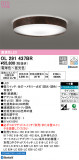 ODELIC ǥå 󥰥饤 OL291437BRþʾLEDη¡ʰΡѤ䡡Ҹ -LIGHTING DEPOT-