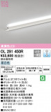 ODELIC ǥå Ѵܾ OL291450RþʾLEDη¡ʰΡѤ䡡Ҹ -LIGHTING DEPOT-