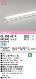 ODELIC ǥå Ѵܾ OL291451RþʾLEDη¡ʰΡѤ䡡Ҹ -LIGHTING DEPOT-