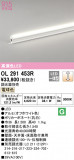 ODELIC ǥå Ѵܾ OL291453RþʾLEDη¡ʰΡѤ䡡Ҹ -LIGHTING DEPOT-