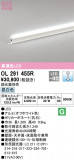 ODELIC ǥå Ѵܾ OL291455RþʾLEDη¡ʰΡѤ䡡Ҹ -LIGHTING DEPOT-