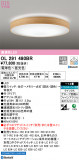 ODELIC ǥå 󥰥饤 OL291480BRþʾLEDη¡ʰΡѤ䡡Ҹ -LIGHTING DEPOT-