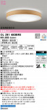 ODELIC ǥå 󥰥饤 OL291480BREþʾLEDη¡ʰΡѤ䡡Ҹ -LIGHTING DEPOT-