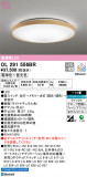 ODELIC ǥå 󥰥饤 OL291556BRþʾLEDη¡ʰΡѤ䡡Ҹ -LIGHTING DEPOT-