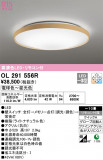 ODELIC ǥå 󥰥饤 OL291556RþʾLEDη¡ʰΡѤ䡡Ҹ -LIGHTING DEPOT-