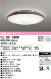 ODELIC ǥå 󥰥饤 OL291560RþʾLEDη¡ʰΡѤ䡡Ҹ -LIGHTING DEPOT-