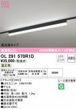 ODELIC ǥå ١饤 OL291570R1DþʾLEDη¡ʰΡѤ䡡Ҹ -LIGHTING DEPOT-