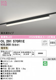 ODELIC ǥå ١饤 OL291570R1EþʾLEDη¡ʰΡѤ䡡Ҹ -LIGHTING DEPOT-